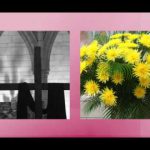 Twists and turns of Holy Week