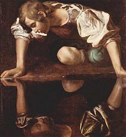 Narcissus