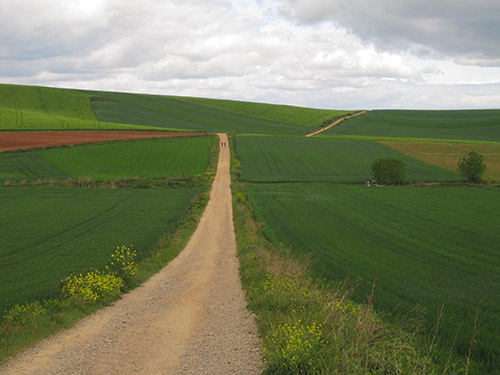 View on the Camino