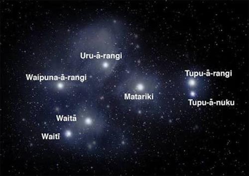 Matariki Cluster