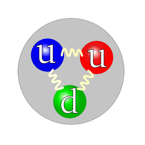 Baryon Proton